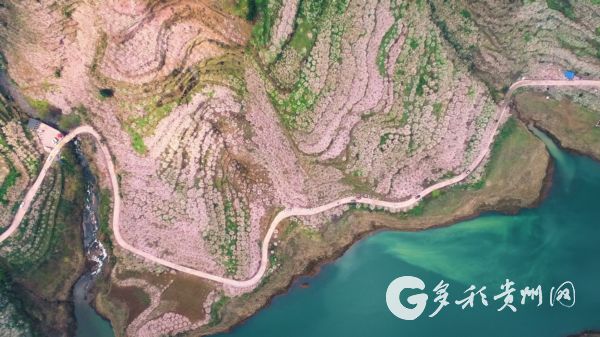 （社会）清镇：走“码”观花 网上览春