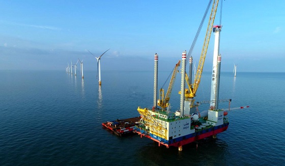 润邦海洋创立十周年：峥嵘十载 砥砺续华章