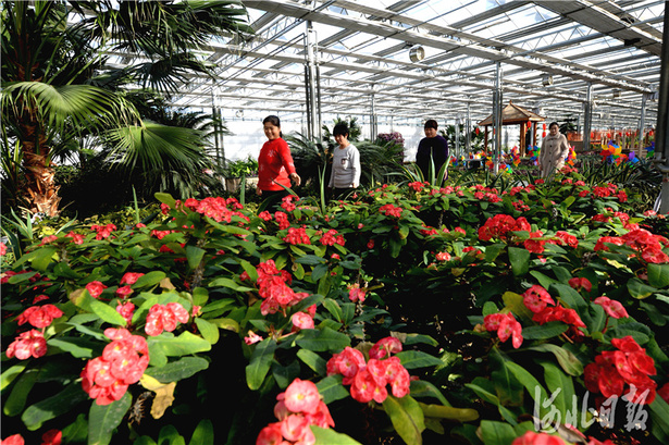 河北邢台：农旅融合促农村“美丽经济”