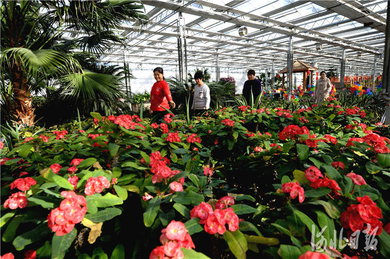 河北邢台：农旅融合促农村“美丽经济”