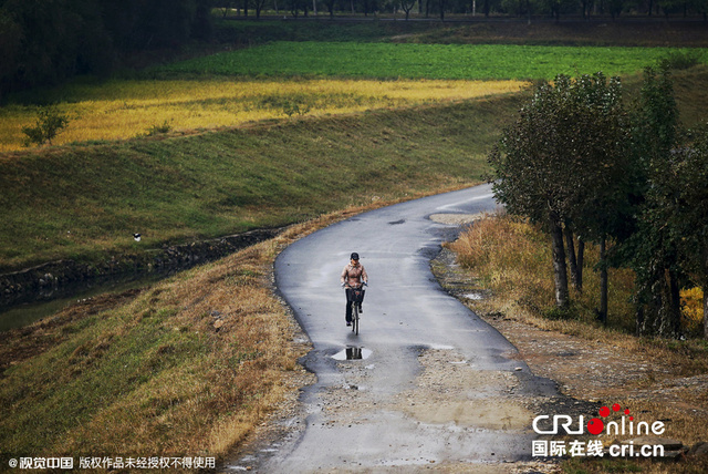 攝影師拍攝平壤街頭百姓生活 攝影師拍攝平壤街頭百姓生活