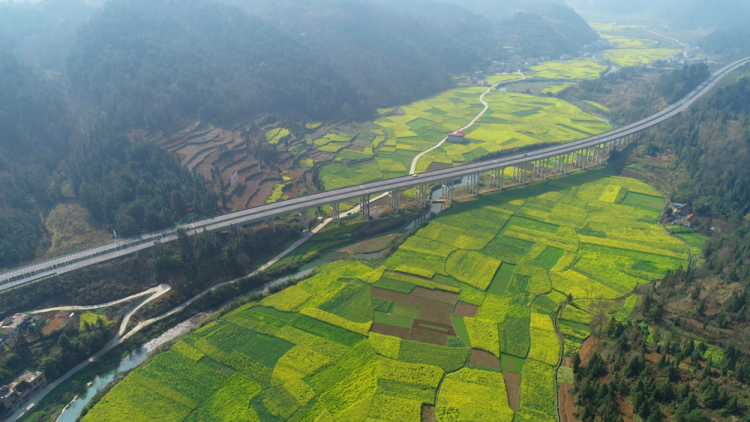 （社會）來長順，一生順