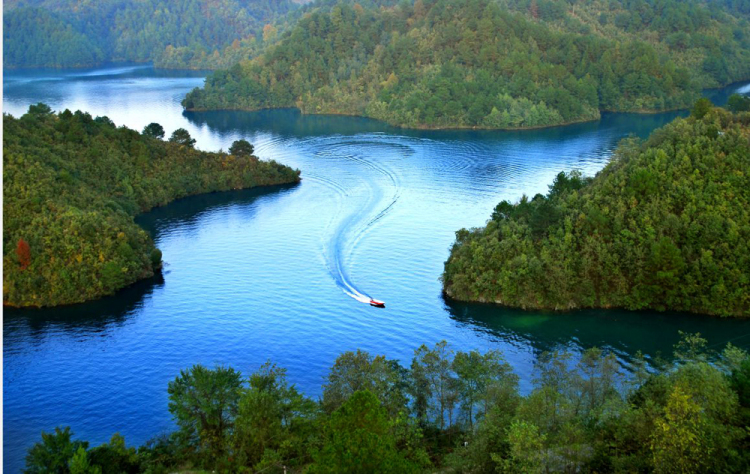 （社會）來長順，一生順