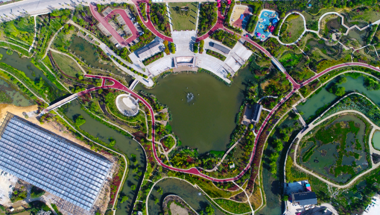 （社會）來長順，一生順