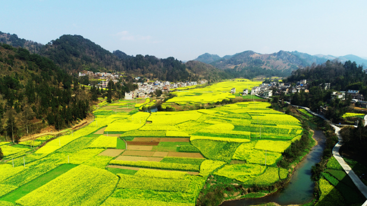 （社會）來長順，一生順