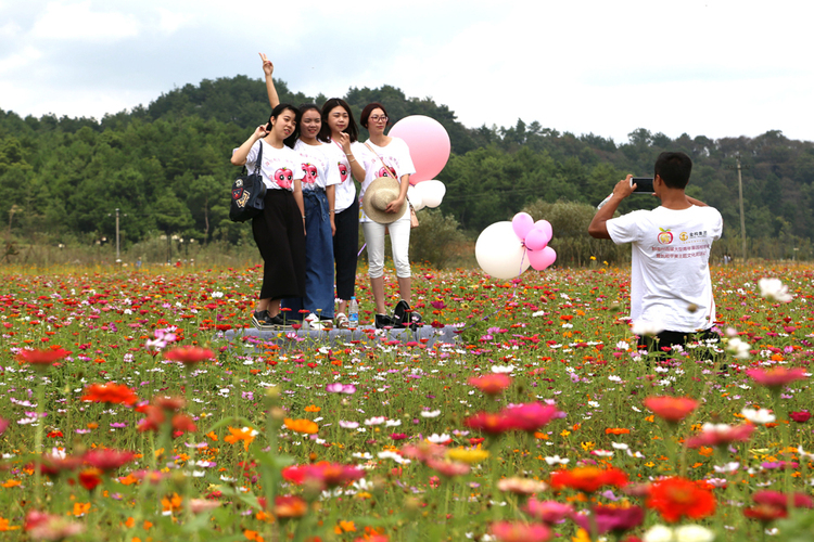 （社會）來長順，一生順