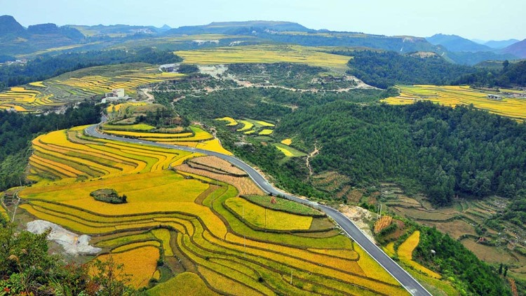 （社會）來長順，一生順