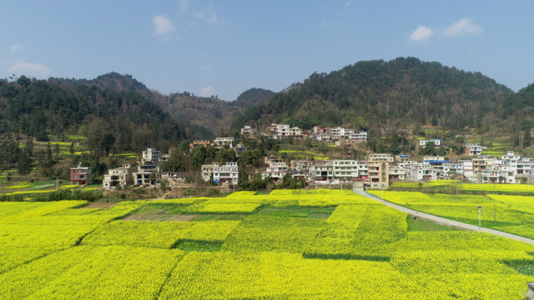 （社會）來長順，一生順