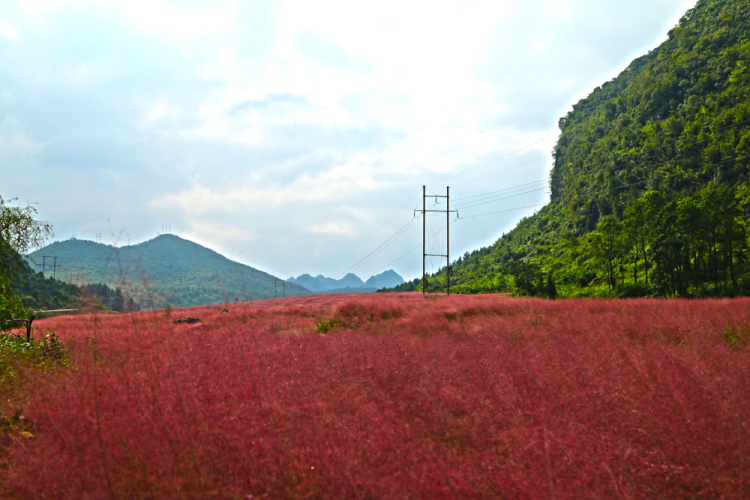 （社會）來長順，一生順