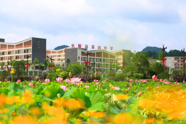 （社會）來長順，一生順