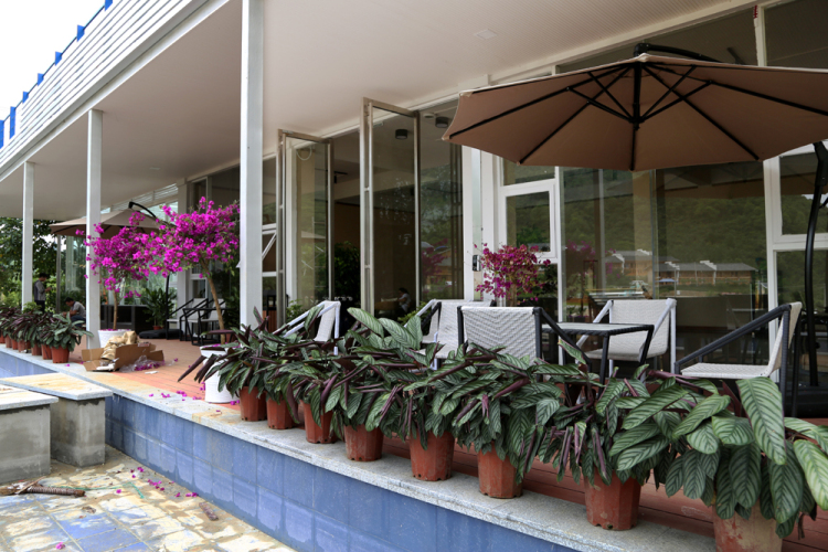 （社會）來長順，一生順