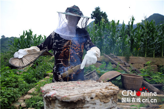 已過審【區縣聯動】【雲陽】雲陽高陽土蜂蜜不簡單 好品質供不應求【區縣聯動列表】雲陽高陽土蜂蜜供不應求 已過審【區縣聯動】【雲陽】雲陽高陽土蜂蜜不簡單 好品質供不應求【區縣聯動列表】雲陽高陽土蜂蜜供不應求