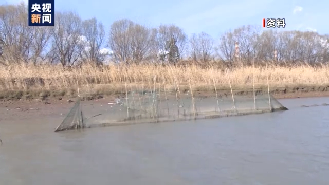 渔民上岸 江豚“回家” 从“微笑精灵”看长江生态兴衰