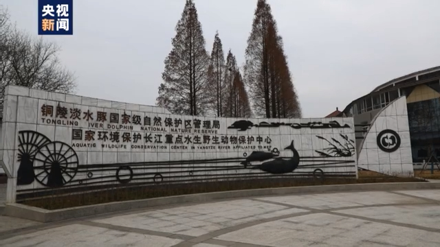 渔民上岸 江豚“回家” 从“微笑精灵”看长江生态兴衰