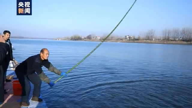 渔民上岸 江豚“回家” 从“微笑精灵”看长江生态兴衰