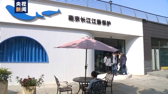 渔民上岸 江豚“回家” 从“微笑精灵”看长江生态兴衰