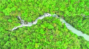 （中首）貴州茂蘭保護區獲批 全國自然教育基地