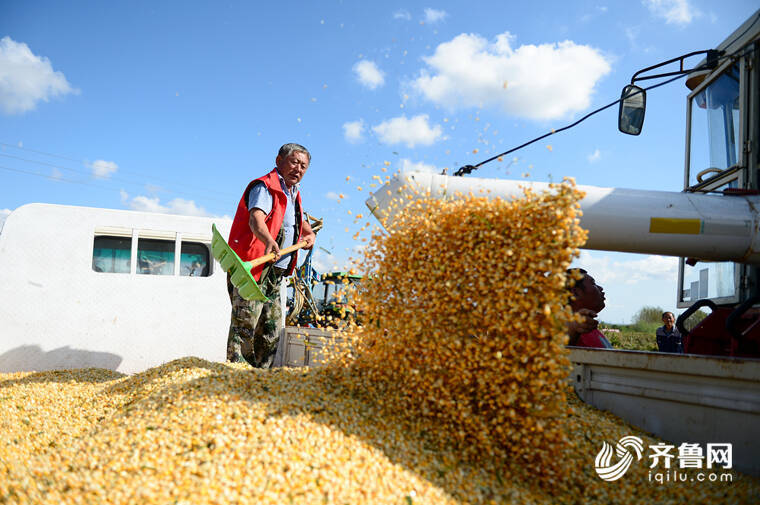 今年“三農”工作怎麼幹？山東省委農村工作會議11個關鍵詞定調