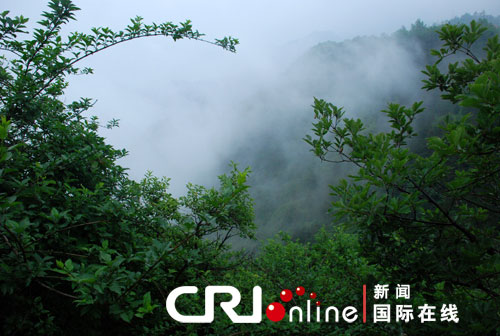 图片默认标题_fororder_jigong-2