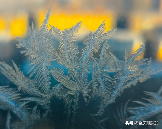 图片默认标题_fororder_3f3f858ef18b4adfa2217f19d1632dd8