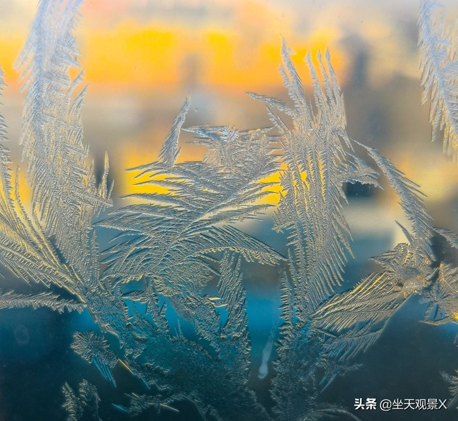 图片默认标题_fororder_6e5b3c8f512e46e78ac9b43646fda893
