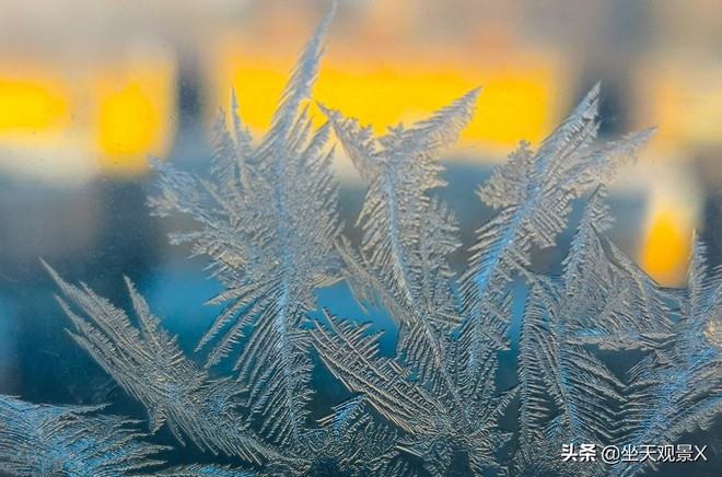 图片默认标题_fororder_d145d260a8d24ca4b533049d2b9af700