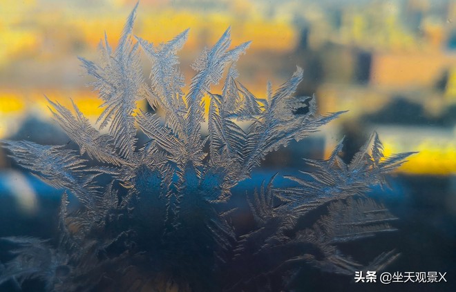 图片默认标题_fororder_f43ff4dee4414e199166ae0e2d386fe3