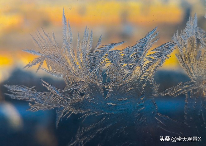 图片默认标题_fororder_e8407d8d792f4c358962104609ecffc5