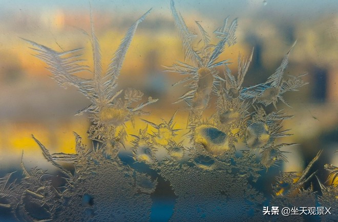 图片默认标题_fororder_81b38736ea5b47da815d881ffb708dcd