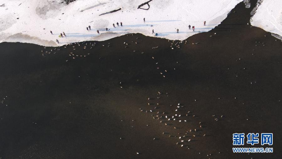 沈阳：寒冬里的精灵_fororder_微信图片_20210119095418