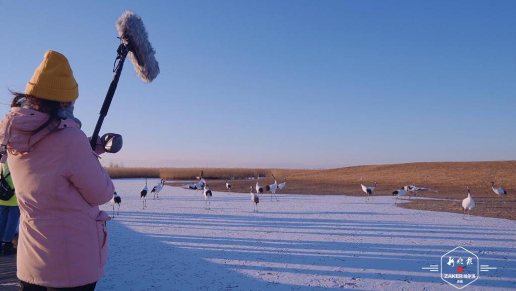 講好東北故事！“一個盒子”再次創作網遊冰雪系列視頻，讓龍江冰雪火遍全網