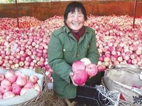 Going back to Yan’an on zoom: How apple farming powers people’s economy killing poverty_fororder_微信圖片_20210107145702