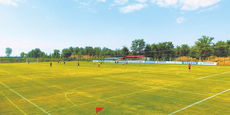 同心同行谱新篇 奋进超越勇担当——2020年渭南体育工作综述