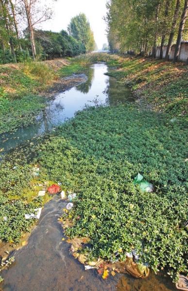 郑州市区诸多明沟存在污染 石苏干沟流水如墨汁