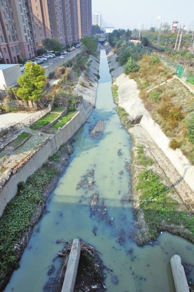 郑州市区诸多明沟存在污染 石苏干沟流水如墨汁