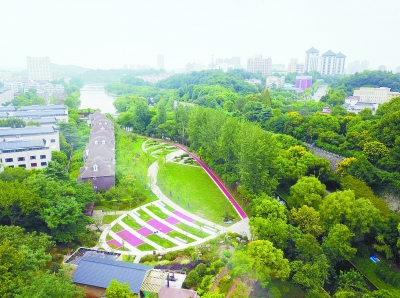 （环保）江苏南京市41个游园绿地“十一”前后完工