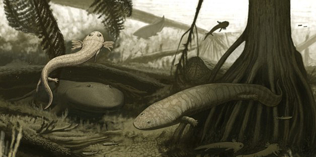巴西发现2亿年前两栖动物化石
