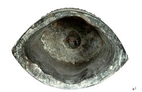 天才创造：曾侯乙荟萃列国编钟为礼乐重器