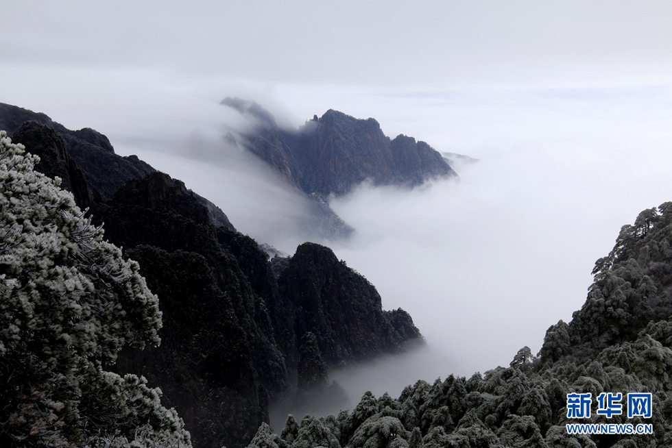 安徽黃山：流雲度山海 飛雪又春風