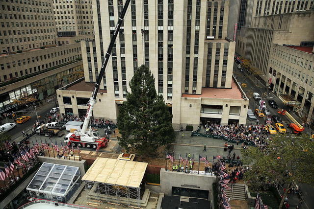 10吨重“超级圣诞树”亮相美国纽约