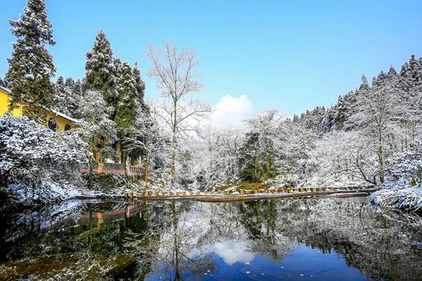 玩冰雪、赏茶花、品美食 成都邛崃天台山迎来强降雪_fororder_2