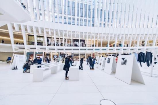 北美华人青年艺术家王一伊策展世界交通枢纽“The Oculus”