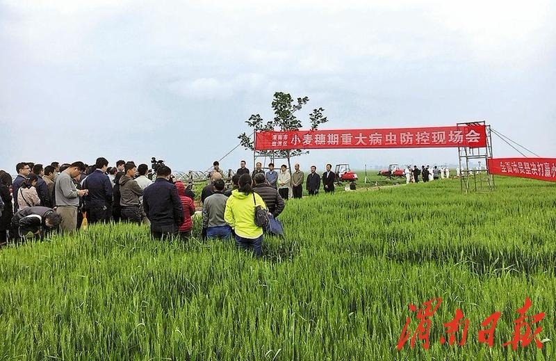 良田丰饶谷盈仓丨2018年渭南市粮食生产稳定发展综述