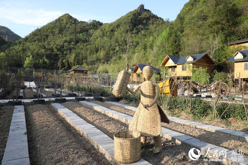 湖北鶴峰：“稻草人”扮靚生態農莊