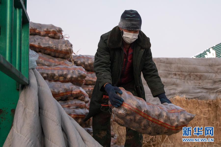 黑龍江綏化:果蔬供應充足穩定