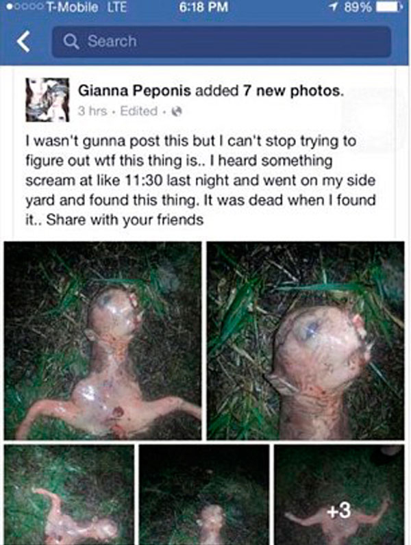 加州女子自家后院发现粉色“怪物” 似外星生物