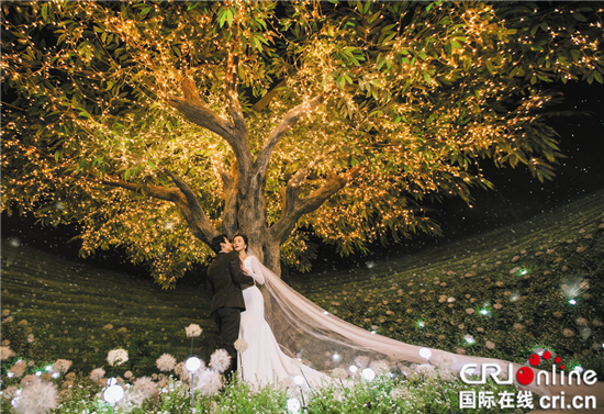 黎香湖婚纱照图片