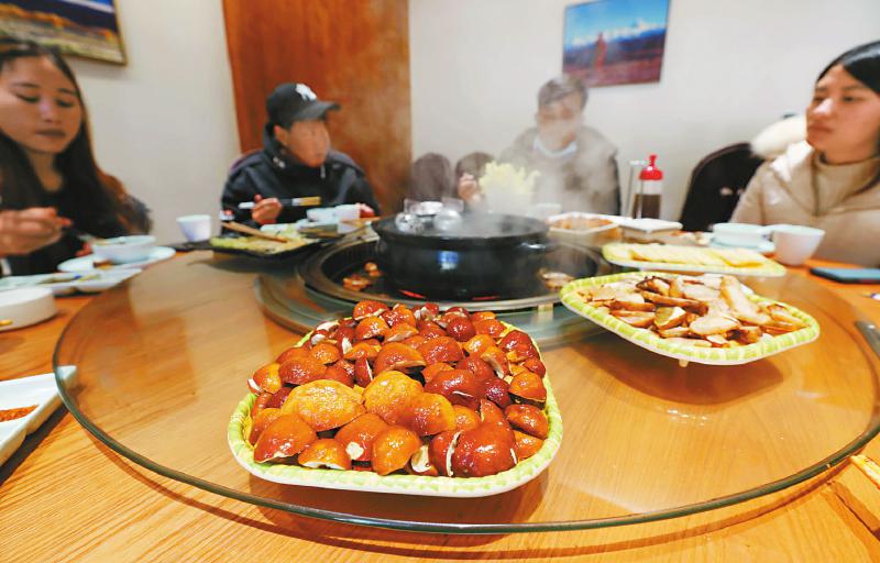 （转载）小菌菇敲开致富门——贡嘎山下松茸村的大产业