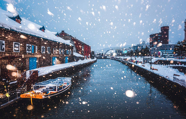 图片默认标题_fororder_5