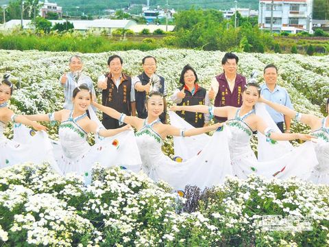 苗栗铜锣乡举办杭菊节 邀游客一饱眼福